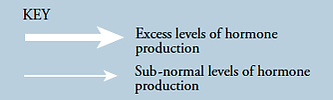 A star with the words " excess levels of production sub-normal level production ".