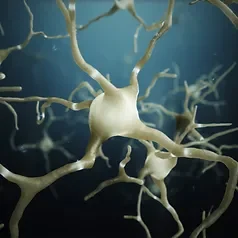 A close up of neurons in the water